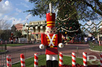 Walt Disney World December 9, 2009