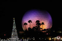 Walt Disney World December 15, 2009