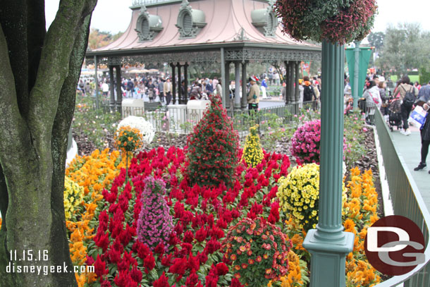 Some plants in the central plaza.