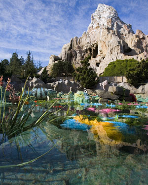 Disneyland Image