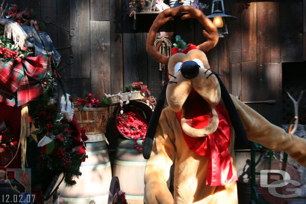 Pluto with his reindeer gear on (December 2, 2007)