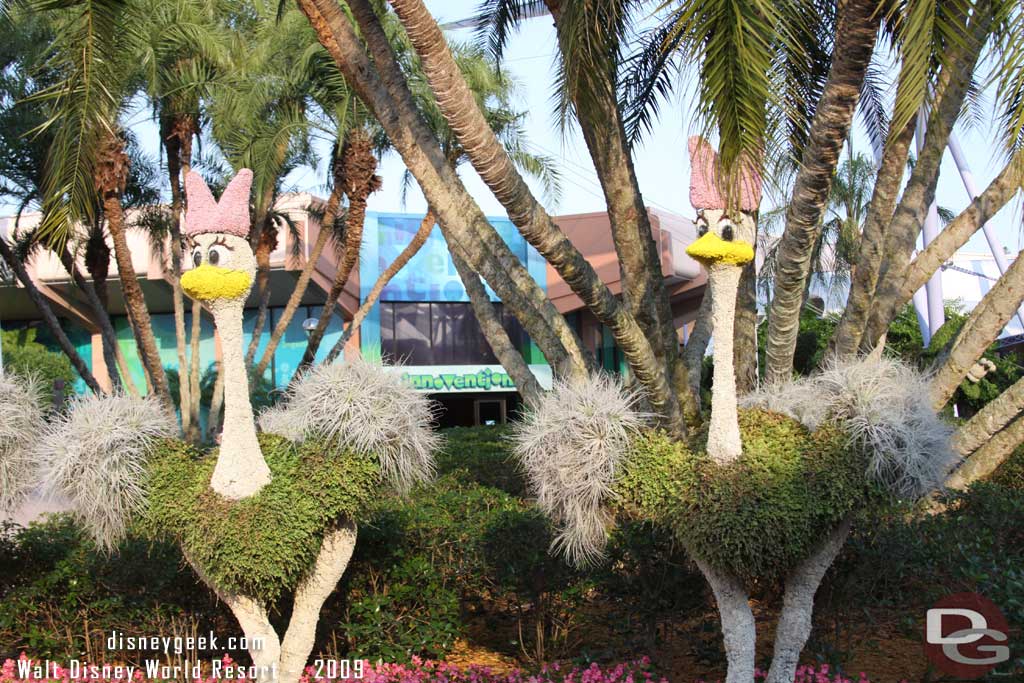 Epcot Flower & Garden - Fantasia