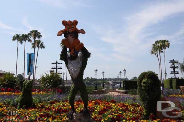 In 2009 the Lion King was once again in the planter as you enter World Showcase.