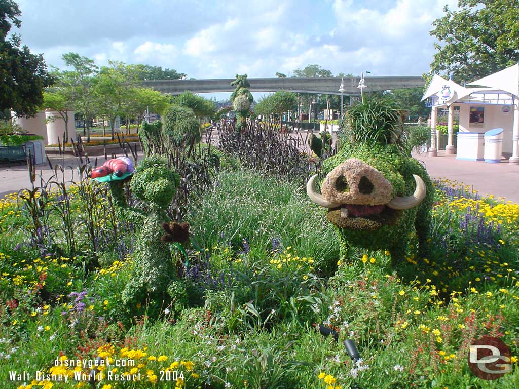 Epcot Flower & Garden - The Lion King