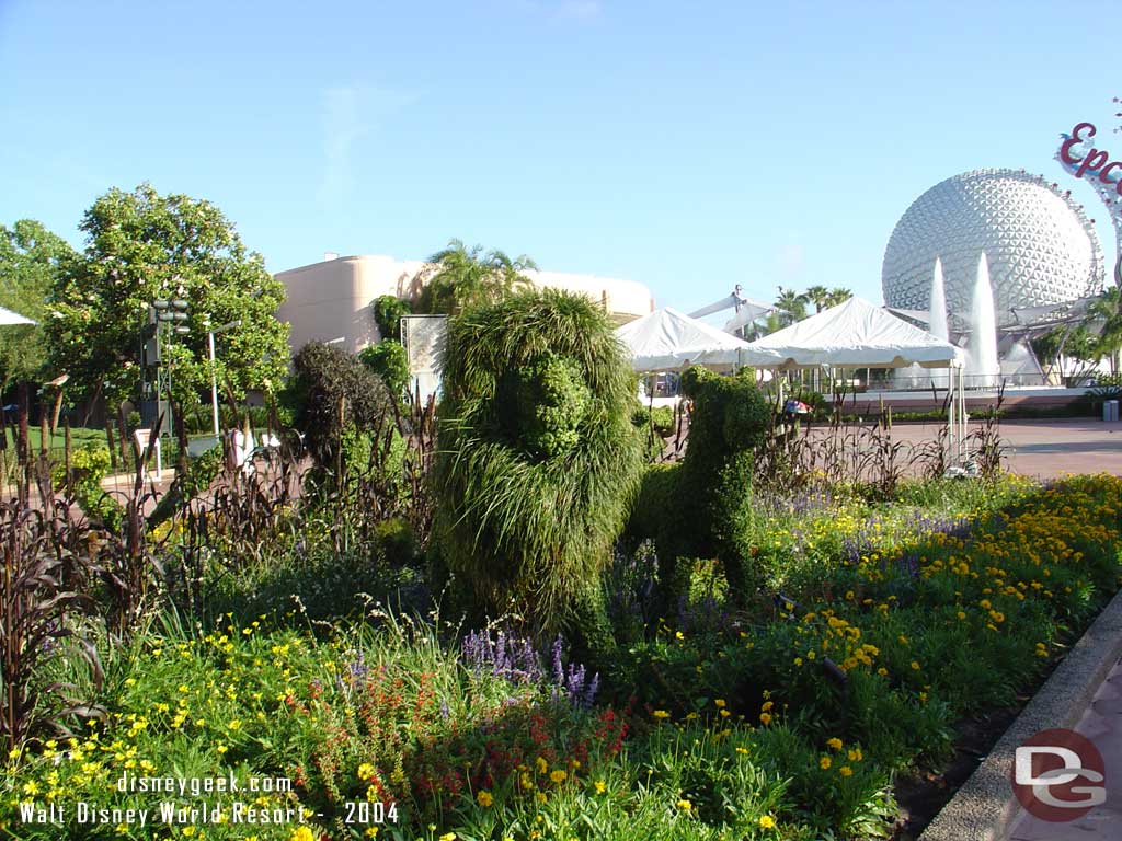 Epcot Flower & Garden - The Lion King