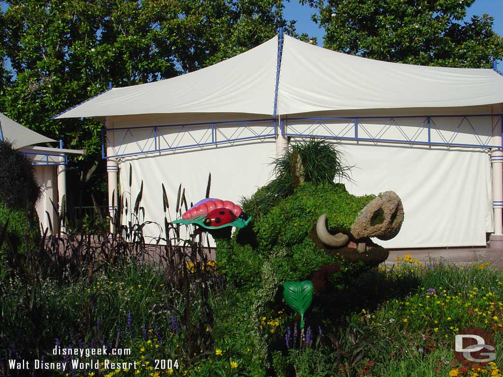 Epcot Flower & Garden - The Lion King