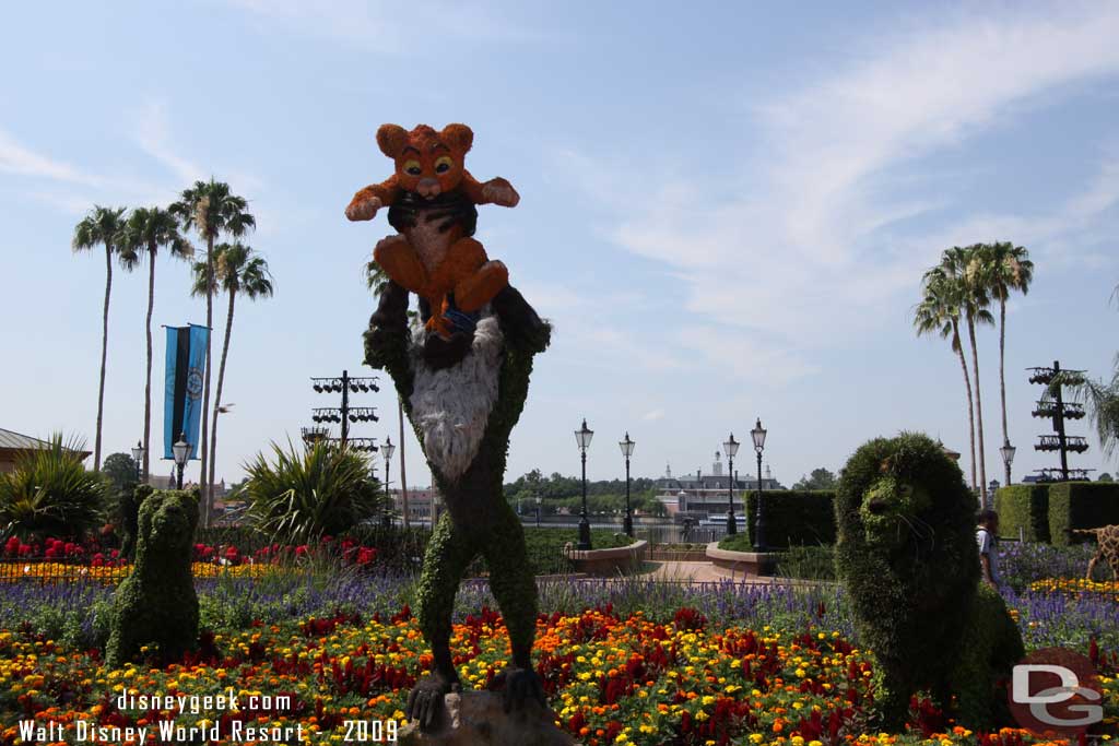 In 2009 the Lion King was once again in the planter as you enter World Showcase.