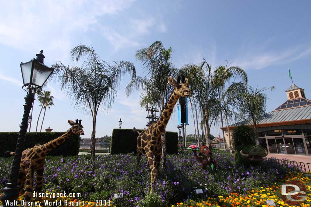 Epcot Flower & Garden - The Lion King