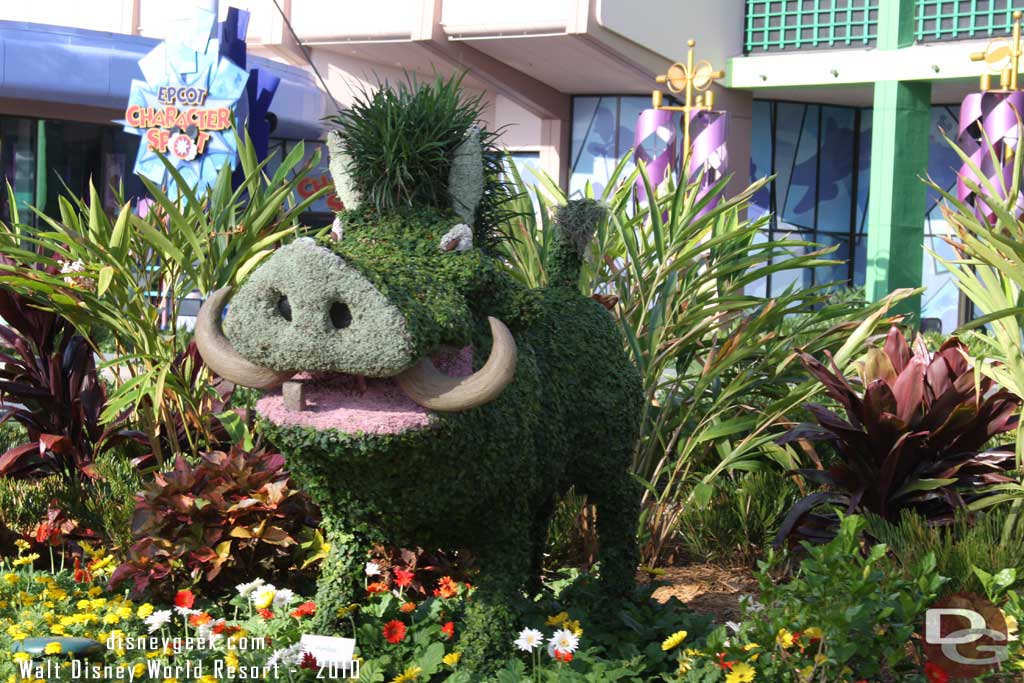 Epcot Flower & Garden - The Lion King