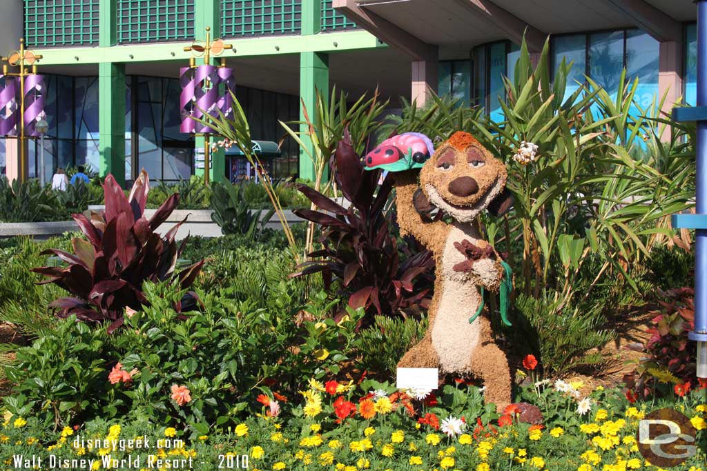 Epcot Flower & Garden - The Lion King