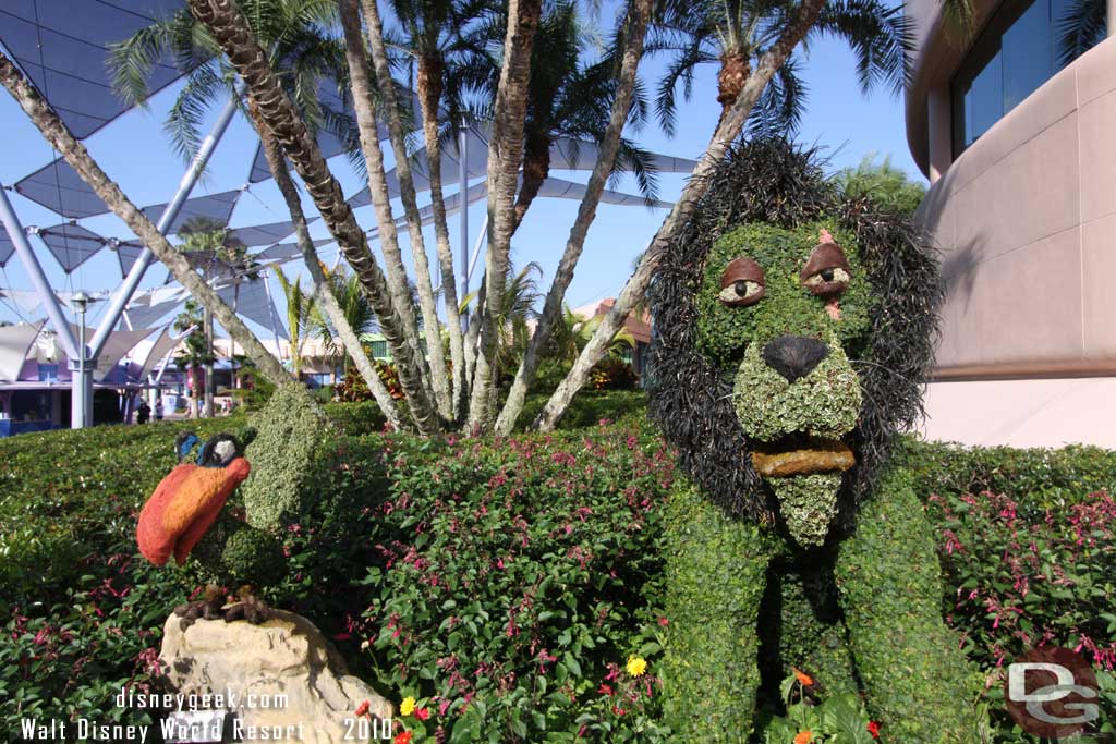 Epcot Flower & Garden - The Lion King