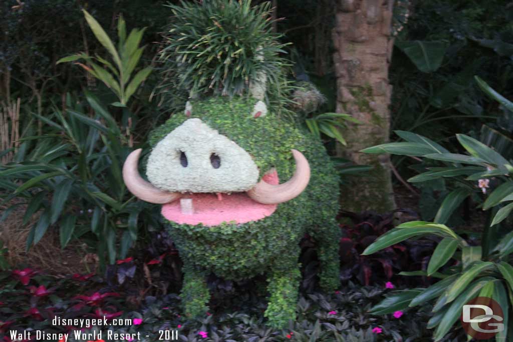 Epcot Flower & Garden - The Lion King