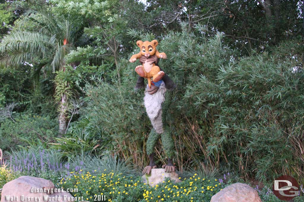 Epcot Flower & Garden - The Lion King