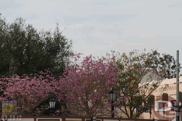 03.23.12 - To close with a great view.. what a difference with the trees, lights, and buildings!