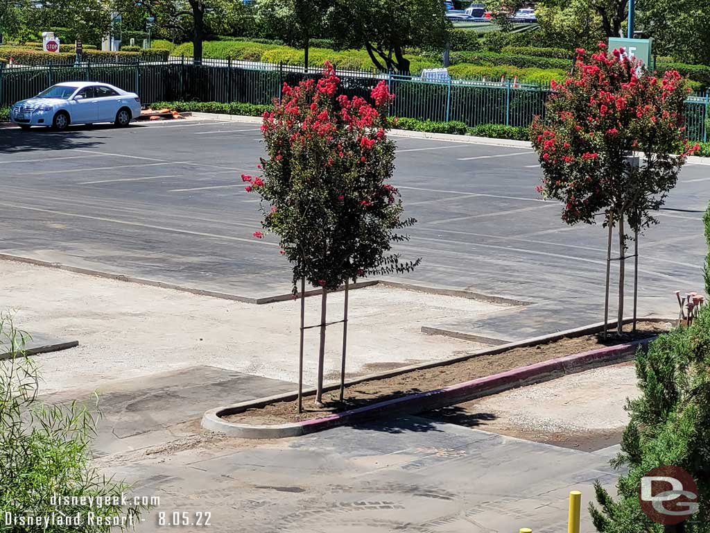 8.05.22 - A closer look.  They kept some of the curb and then adde new curb to shrink the planters.