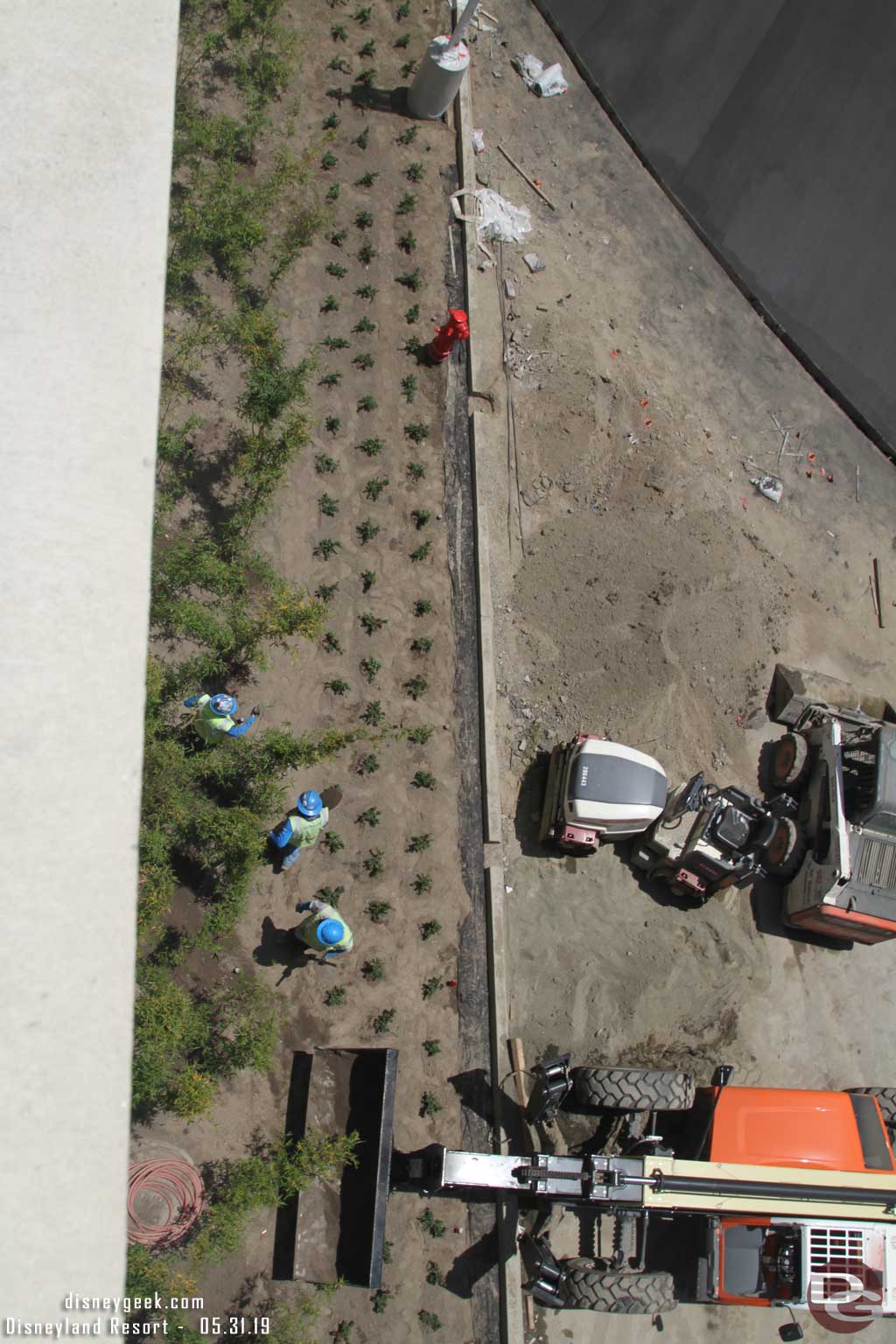 05.31.19 - Looking straight down they are doing landscaping installation adjacent to the Mickey and Friends Parking structure.