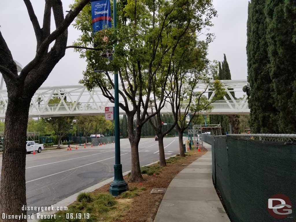 06.19.19 - Looking back while waiting to cross the street.