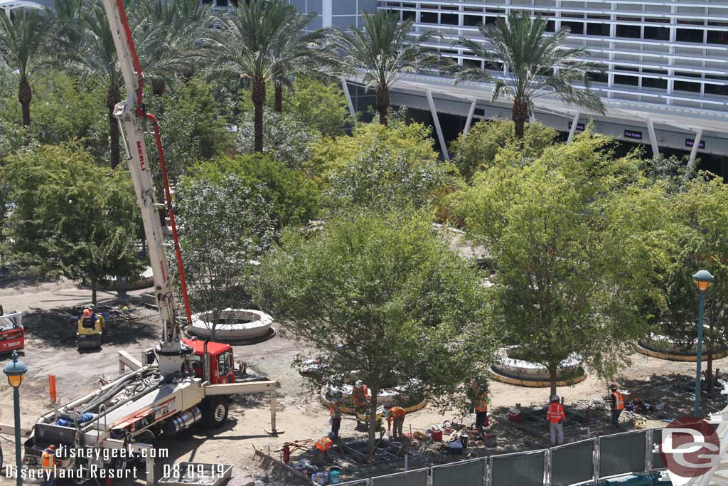 08.09.19 - More concrete rings have been installed for the palm trees.  Teams were working on concrete around the trees this afternoon.