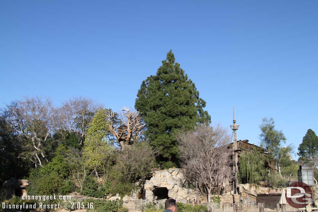 2.05.16 - A random before shot of the treehouse on Tom Sawyer Island.