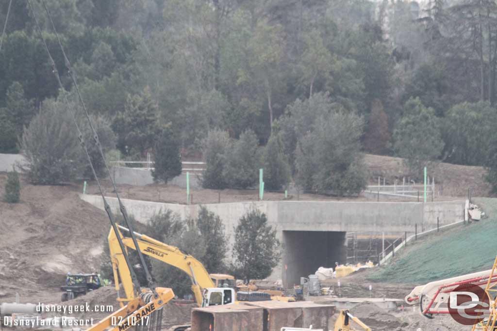 2.10.17 - A look at the trees on the far berm