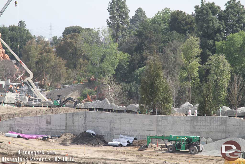 3.10.17 - Trees have been planted on the new berm