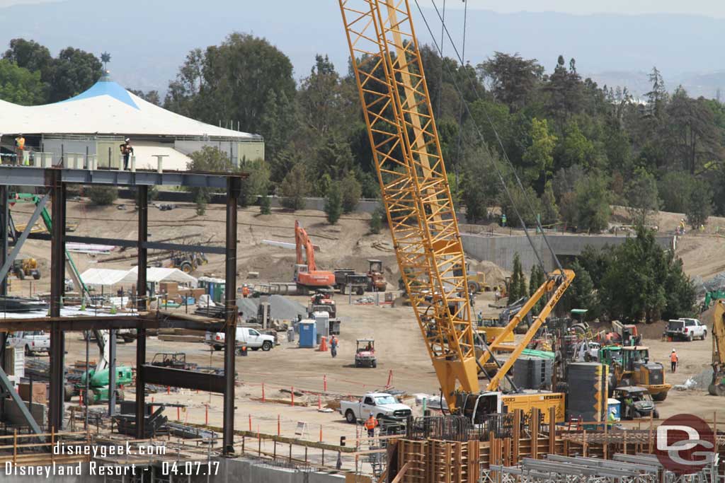 4.07.17 - More trees waiting to be planted in the middle of the site.