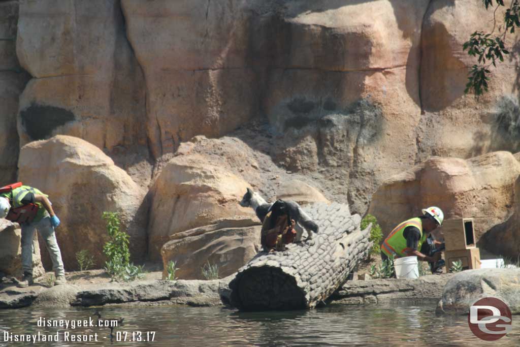 7.13.17 - The young Indian and dog have returned to the rivers edge and are visible from the Island now.