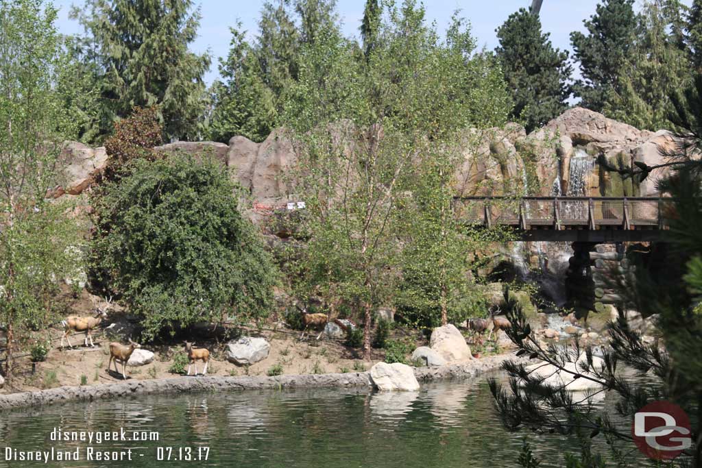 7.13.17 - Looks like a majority of the landscaping is done here and the waterfall was on here too.