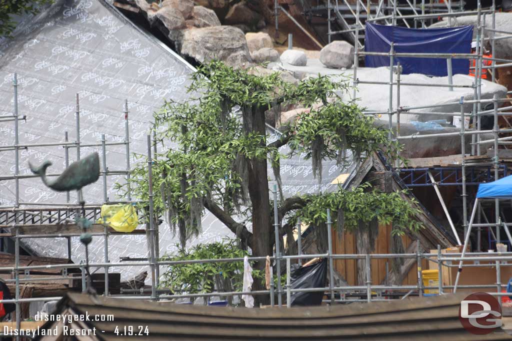 4.19.24 - A closer look at one of the new trees.