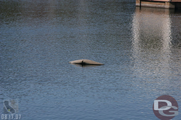08.17.07 - For some reason this one surfaced in the middle of the Bay