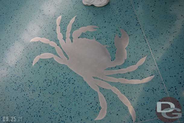 Looking down some sea life on the floor design.