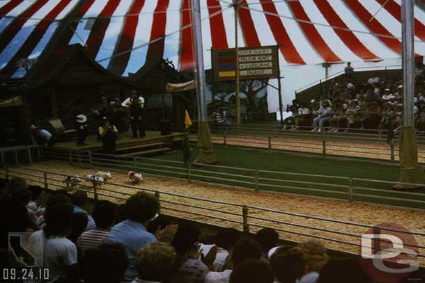 The Pig Races from the State Fair (I actually got to see this once... too bad it was before digital photography, I have no pictures...)