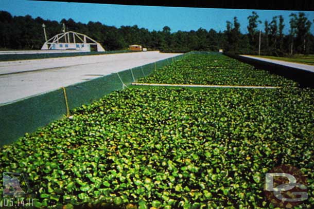 Waste water treatment