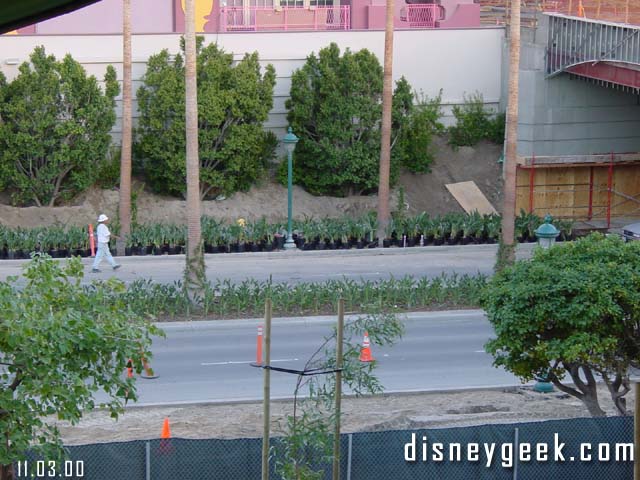 Here you can see how many more plants they are bringing in. The landscaping for the expanded resort looks incredible.