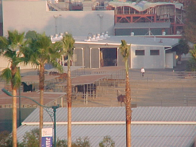 Not really a DCA update picture, but it was taken from the top of the new Parking garage, so I thought I would put it here.... these are the stables located backstage at Disneyland.