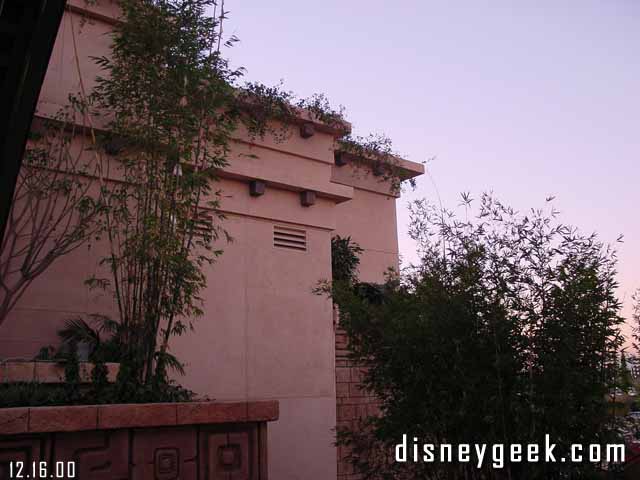 The corner of the Rain Forest. The landscaping looks all done.