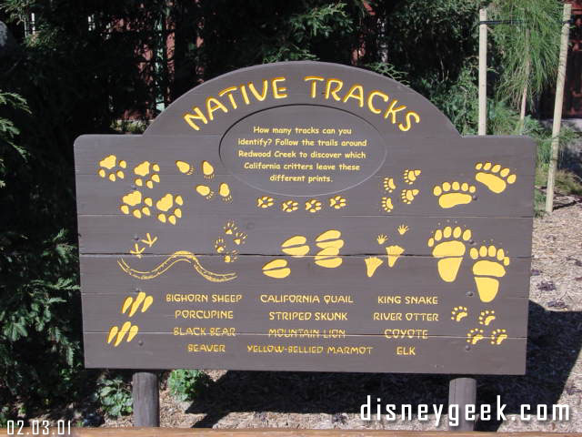 As you make your way through the play area the amount of detail is really cool. There are several trails to take and one of them has a track spotting guide. 