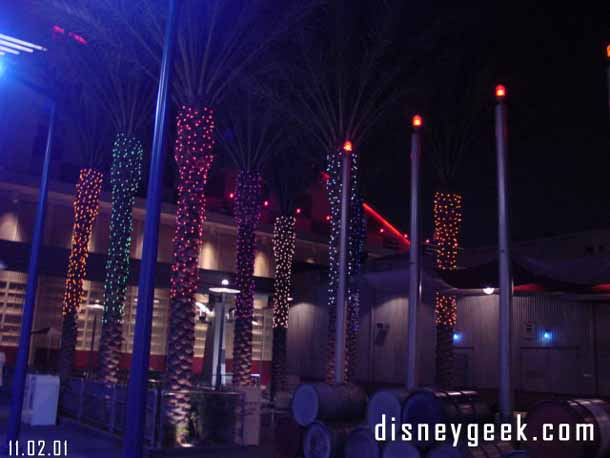 Lights are on the palm trees by Soarin too. Here you can see how they start high off the ground.