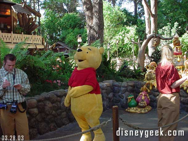 Pooh himself in the photo area.