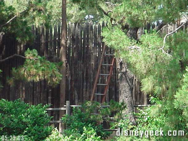 A ladder was spotted near the fort.