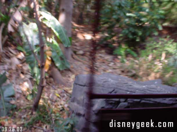 I know blurry, but the panther is gone along the DLRR tracks.