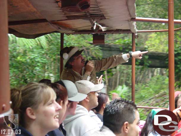 A jungle cruise holiday hat