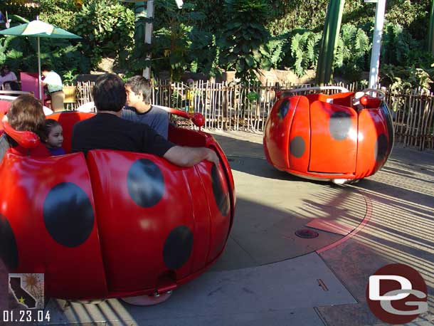 The ladybug spin is back up and running.