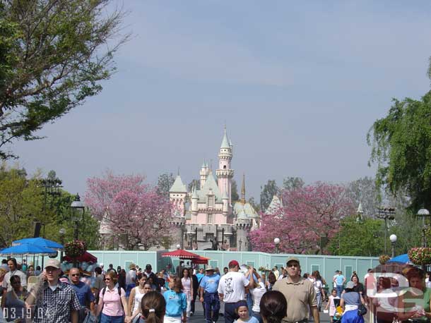 The view of the castle is now much less obstuctive, looked kind of bare to me.