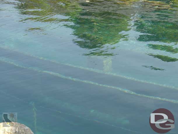 The water looked really clear to me in the lagoon and the track cleaned off