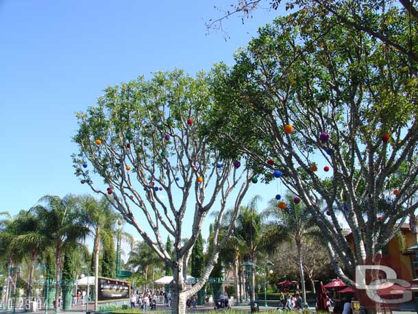 The Holiday lights are in the trees of Downtown Disney(not on at night yet though)