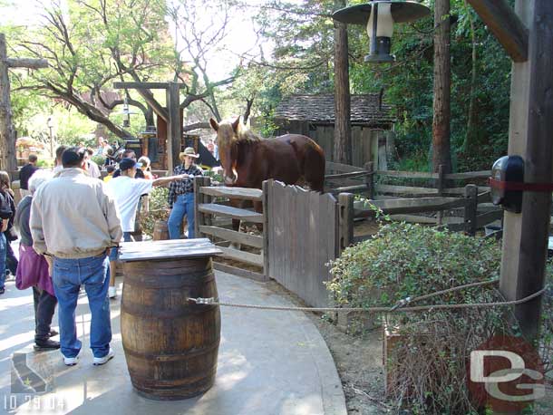 Out at Big Thunder ranch, we noticed a new to us, rope line in front of the horse area