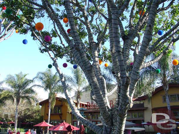 The lights in the trees of Downtown Disney were on, and its mid afternoon