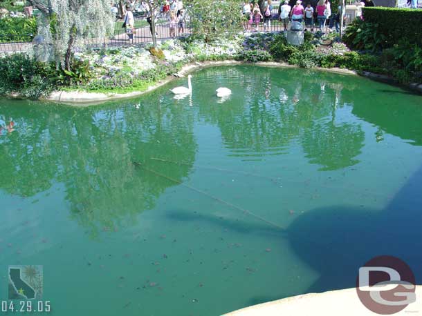 Notice the pipe underwater.. maybe for a fountain or maybe just for circulation.