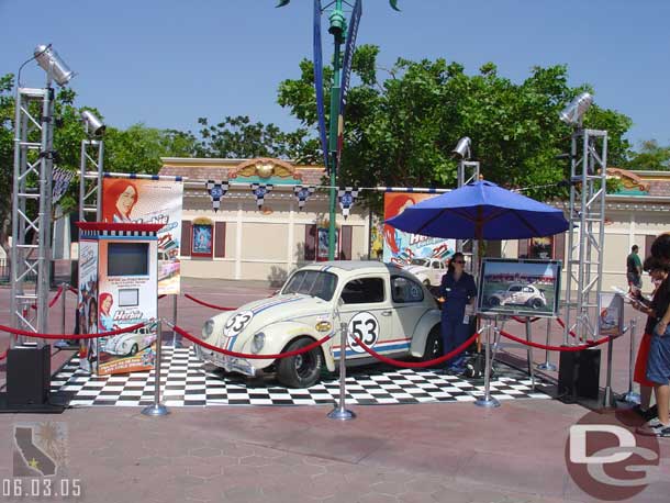 Herbie is in the Espalande